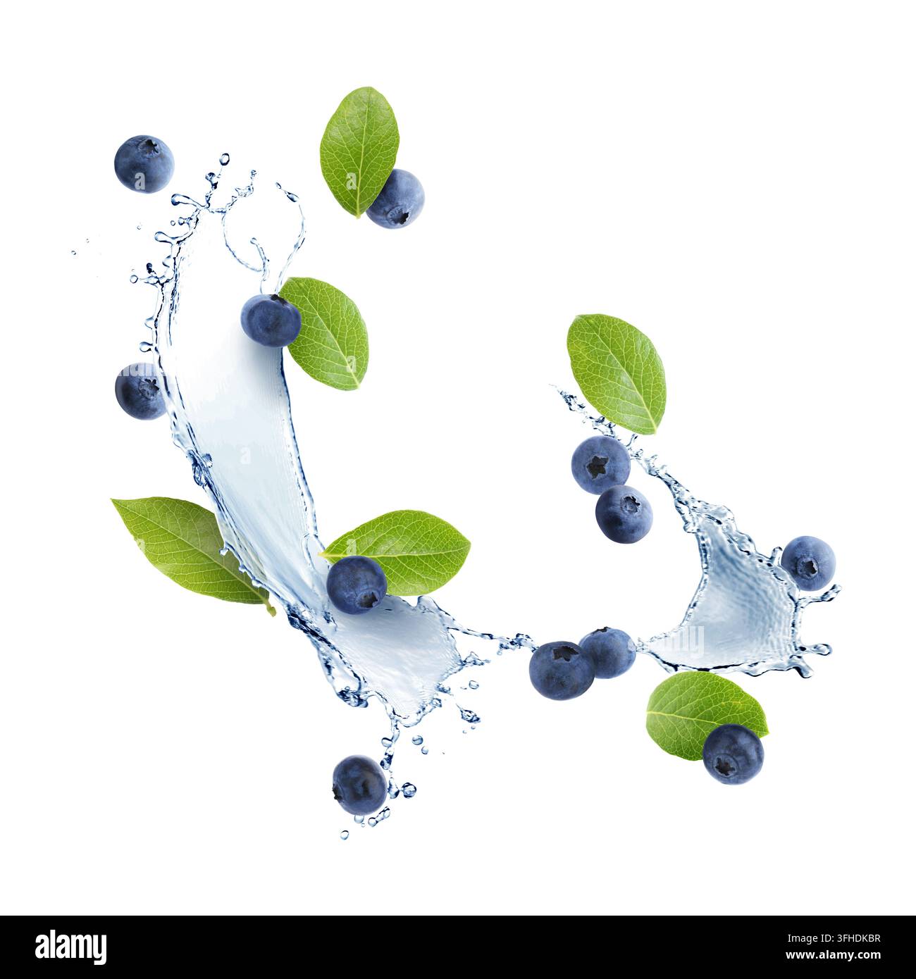 Frische Blaubeeren, grüne Blätter und Wasserspritzer in der Luft vor weißem Hintergrund Stockfoto