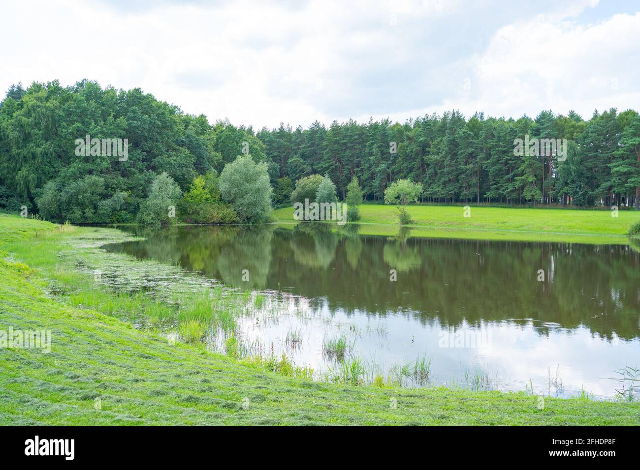 Ein ruhiger Teich spiegelt die umliegenden Bäume und den Himmel wider und schafft eine gelassene und friedliche Außenszene. Die lebendigen Grün- und Blautöne des Wassers Stockfoto
