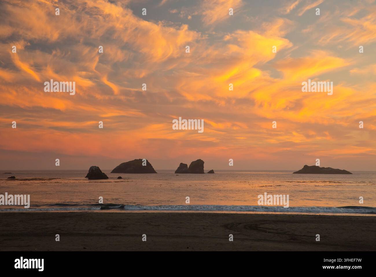 Sonnenuntergang, Kumuluswolken, Pazifikküste des Nordens, Niedrigwasser. Stockfoto