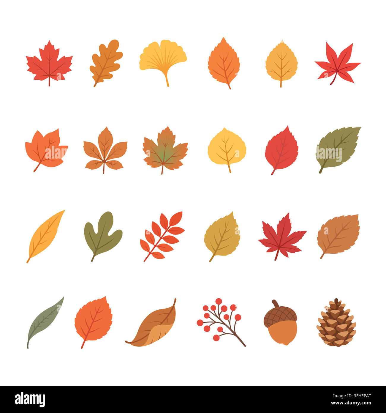 Herbstblätter und saisonales Laub Illustrationssammlung Stock Vektor