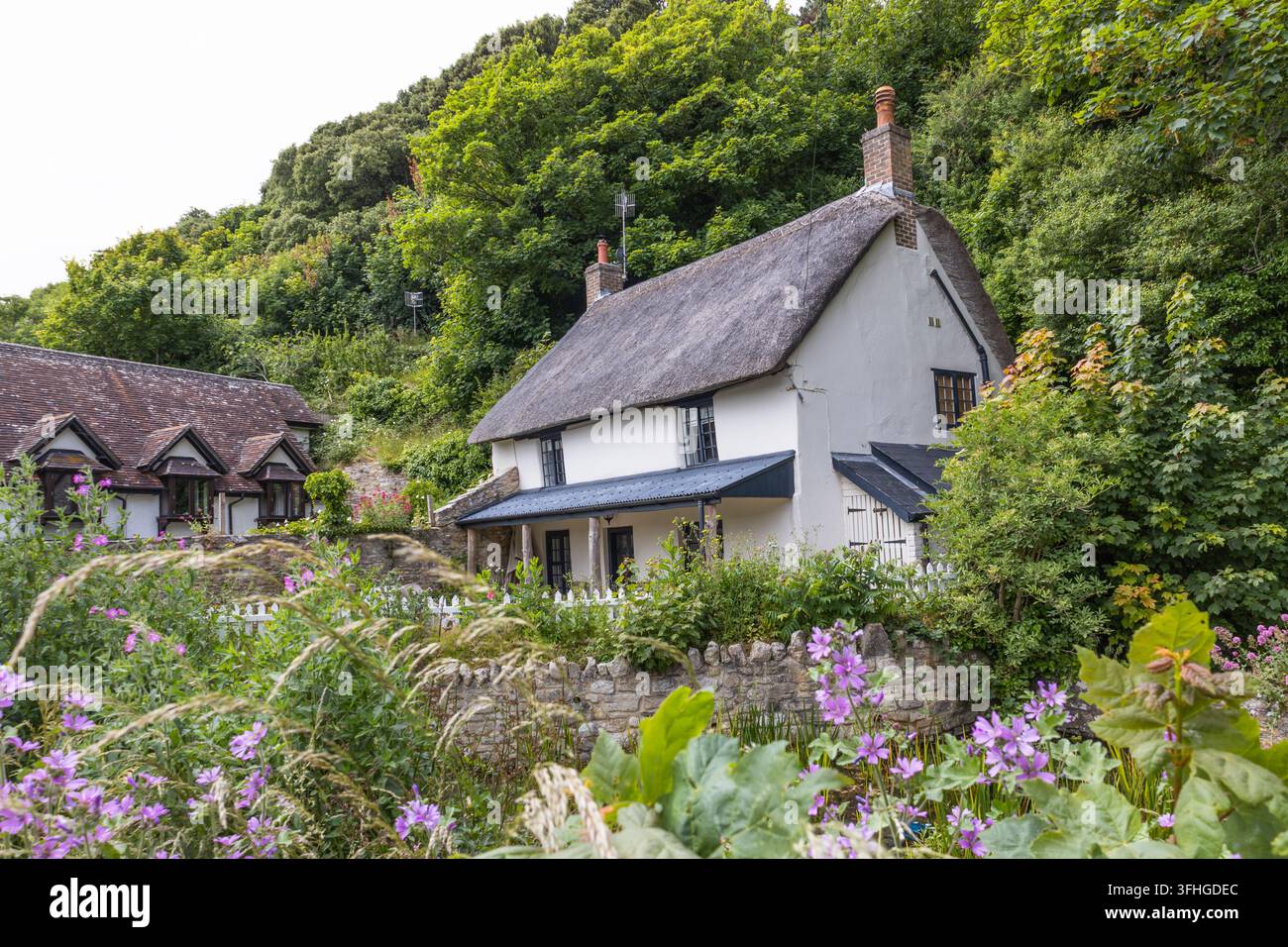 Traditionelles Strohdachhaus in einem ländlichen Dorf, UK Stockfoto