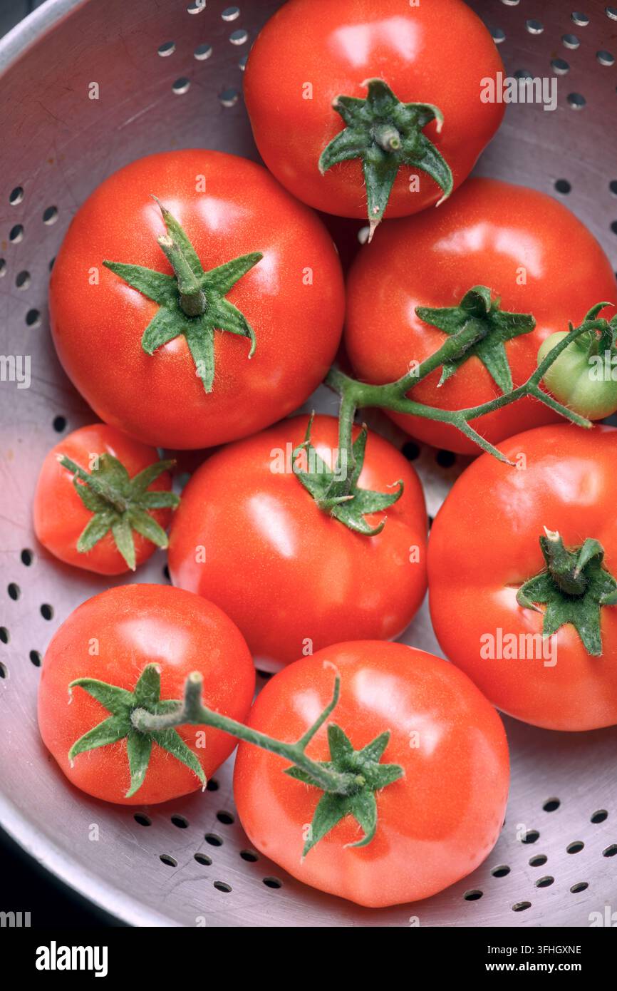 Rote Tomaten mit Stielen in einer Metallschale, Aufsichtsfoto. Frisches Marktgemüse, vegetarische Nahrung Stockfoto