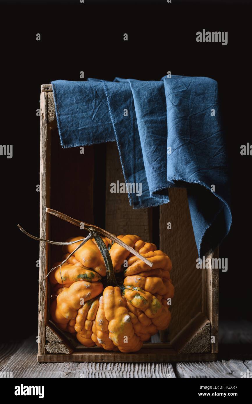 Dekorative Kürbisse arrangiert in einer rustikalen Holzkiste mit dunkelblauer Stoffkulisse. Gemütliche Herbstkomposition mit Kürbis und Bauernhaus-Ernte-Styling Stockfoto