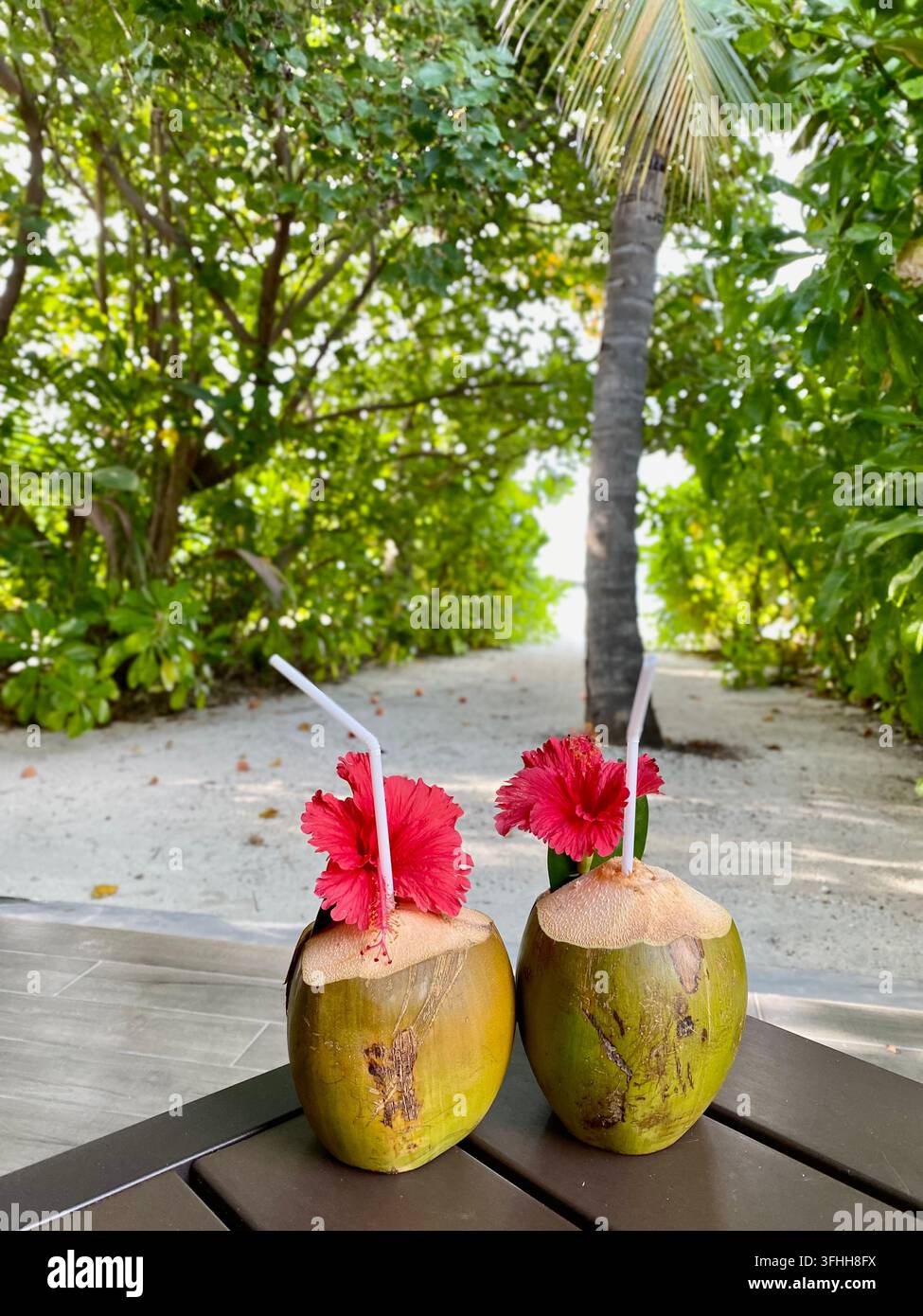Zwei frische Kokosnüsse, die mit Hibiskusblüten in einem tropischen Garten dekoriert sind. - Smartphone-aufgenommenes Stockfoto