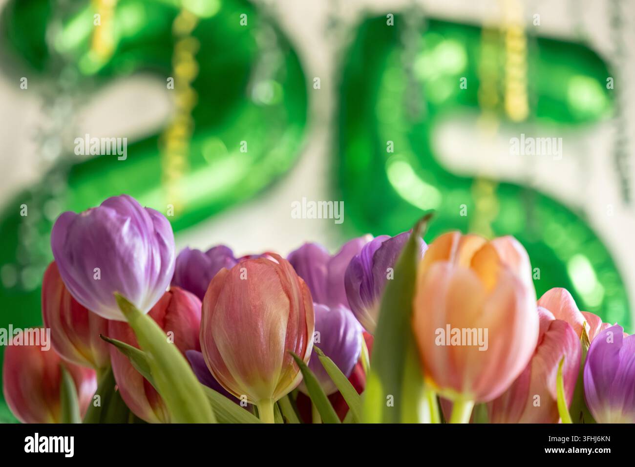 Lebendige FrühlingsTulpen in sanften Lila- und Pfirsichtönen heben sich vor einem Bokeh-Hintergrund aus glänzenden grünen Ballons ab und schaffen eine fröhliche Ästhetik für Stockfoto
