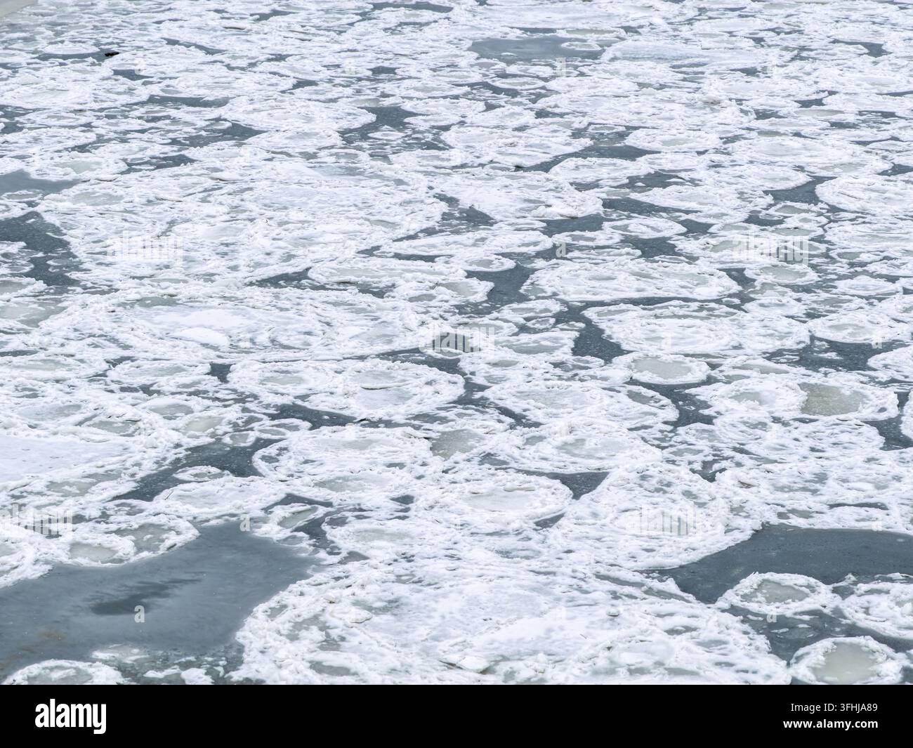 Schwebende Eisschollen treiben über dunkles kaltes Wasser und bilden organische runde Formen in einem gefrorenen Fluss, was den saisonalen Übergang und die raue Umwelt veranschaulicht Stockfoto