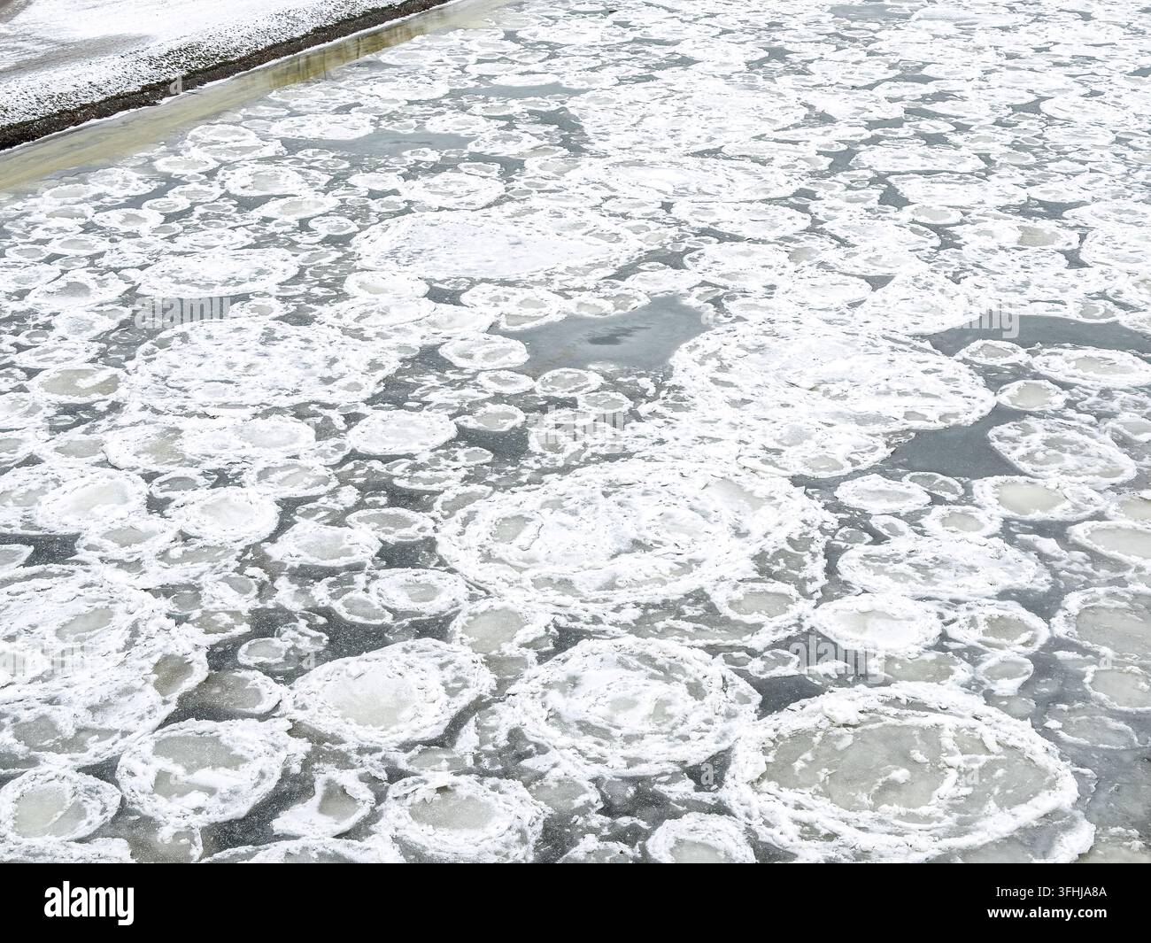 Runde Eisschollen treiben langsam über das eiskalte Wasser eines Winterflusses und schaffen ein geometrisches Schauspiel der Natur, das die Stille veranschaulicht, an Stockfoto