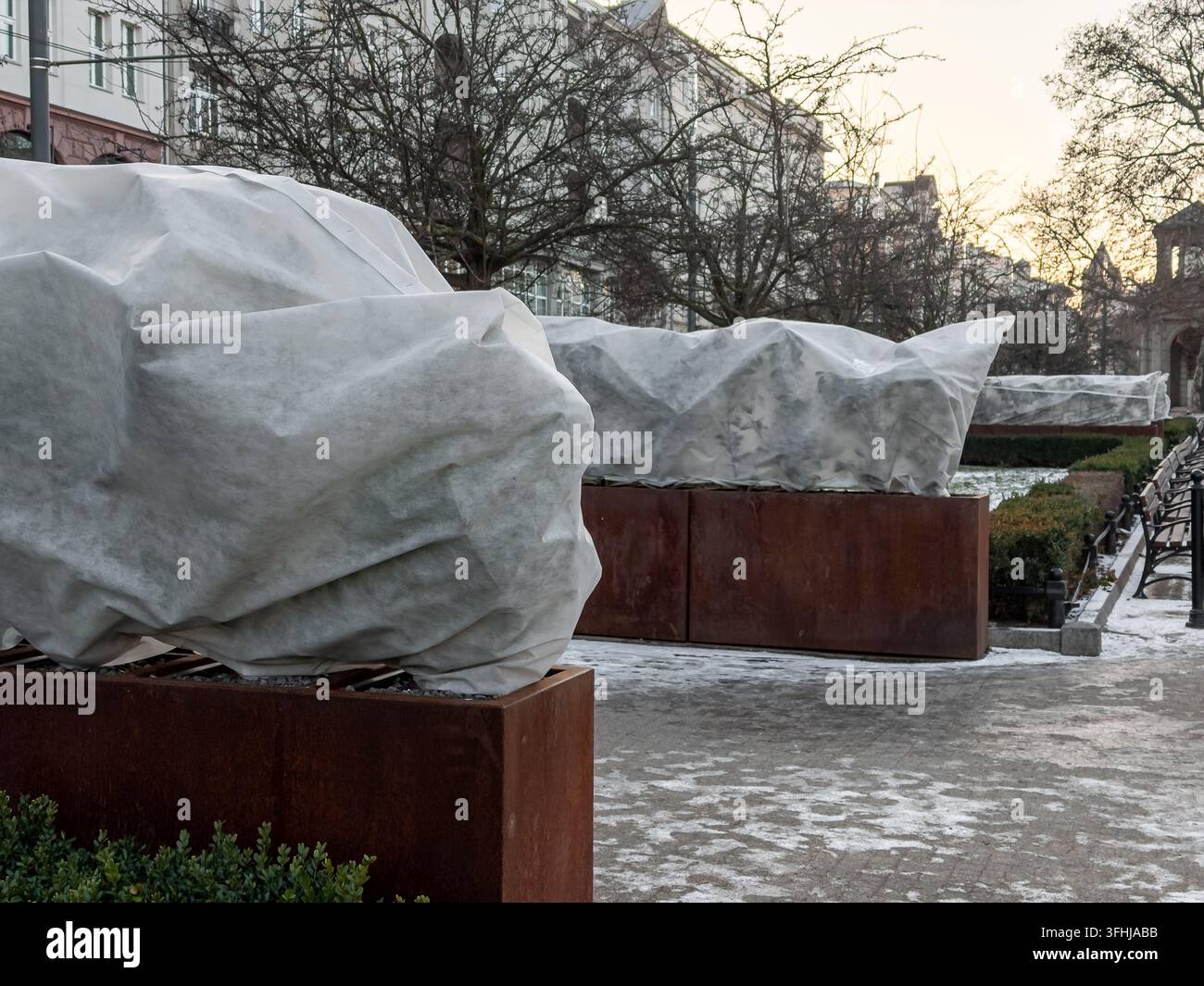 Begrünung mit Vliesmaterial für die Überwinterung in metallischen Behältern in einem öffentlichen Garten, um das Überleben der Pflanzen bei kalten Temperaturen zu gewährleisten Stockfoto
