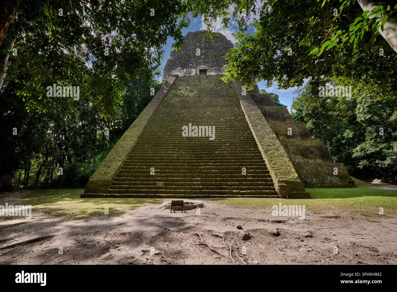 Mayanische Ruinen von Tikal, Templo V, Tikal-Nationalpark, Peten, Guatemala, Zentralamerika Stockfoto