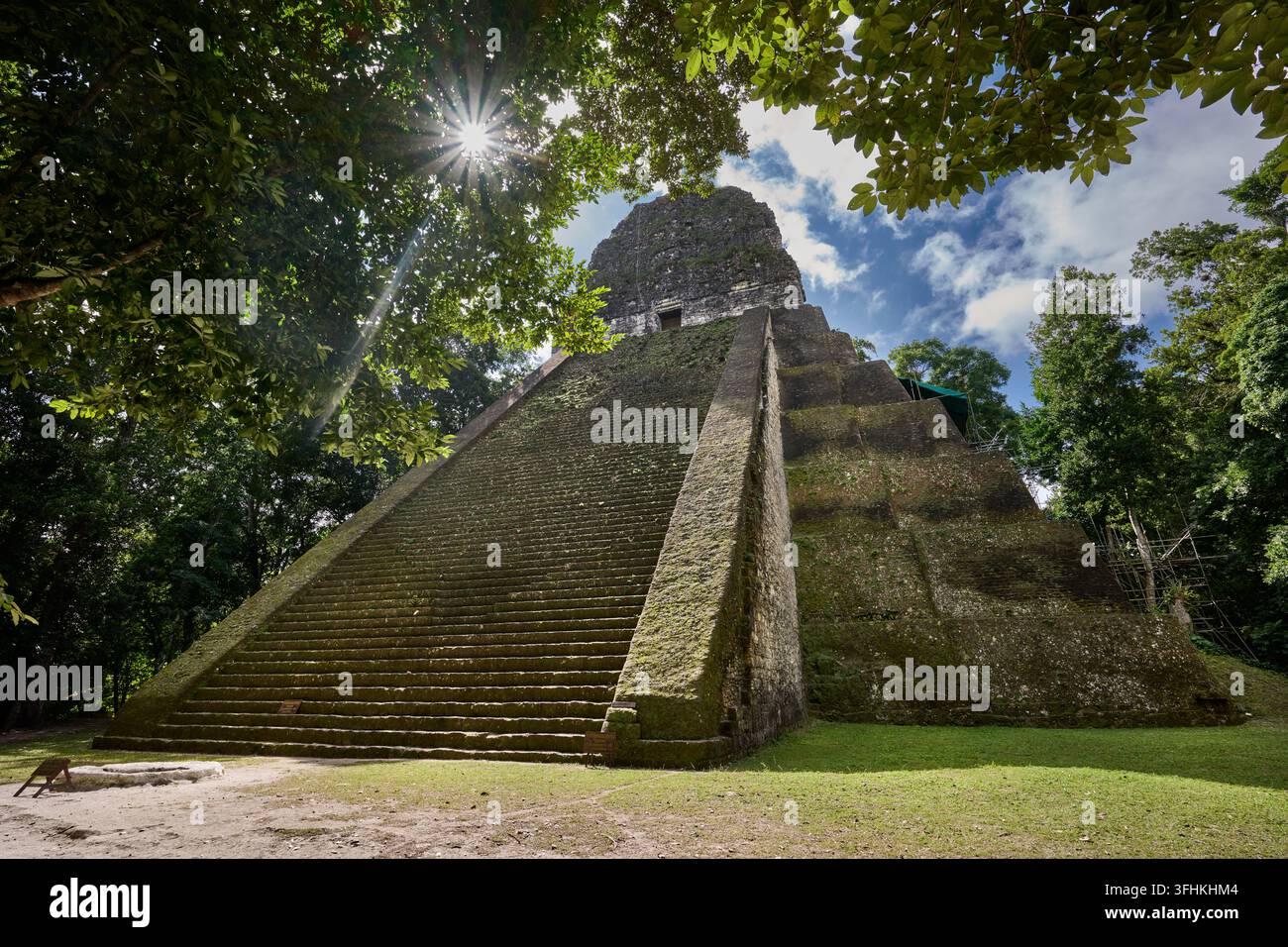 Mayanische Ruinen von Tikal, Templo V, Tikal-Nationalpark, Peten, Guatemala, Zentralamerika Stockfoto