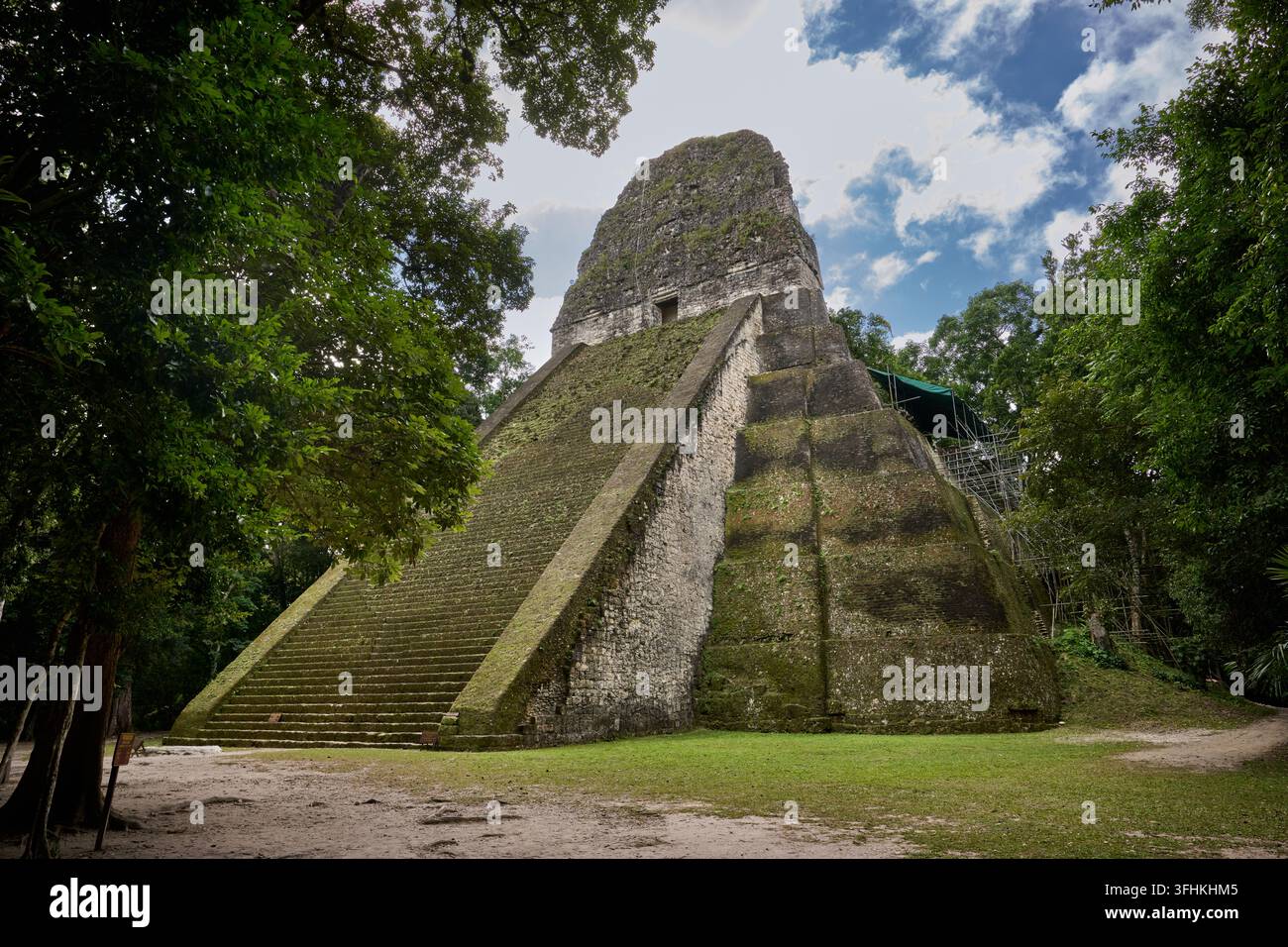 Mayanische Ruinen von Tikal, Templo V, Tikal-Nationalpark, Peten, Guatemala, Zentralamerika Stockfoto