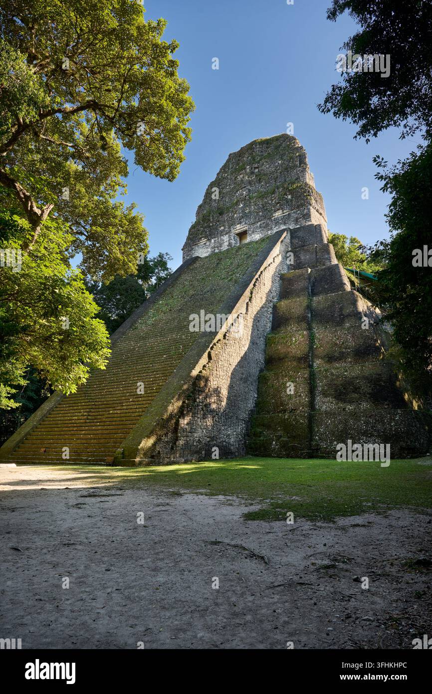 Mayanische Ruinen von Tikal, Templo V, Tikal-Nationalpark, Peten, Guatemala, Zentralamerika Stockfoto