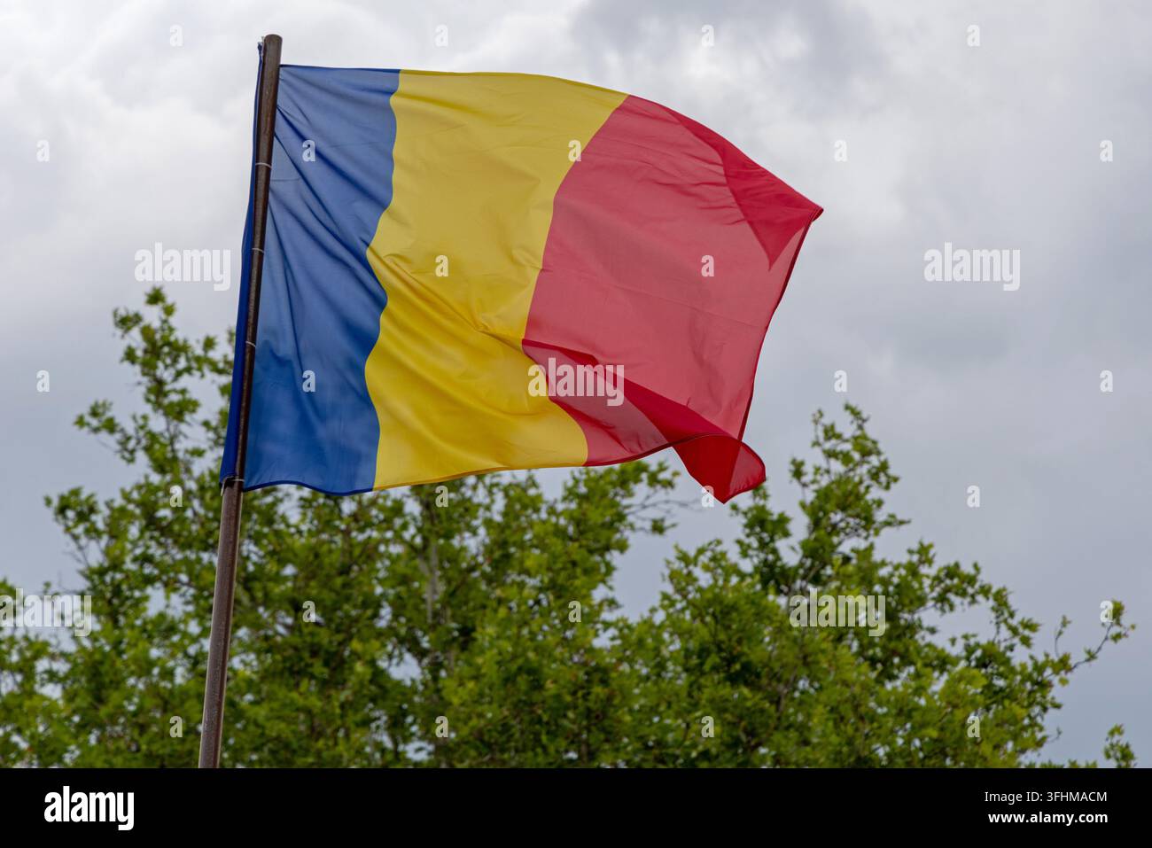 Nationalflagge Rumäniens Grüner Busch Bewölkter Himmel Stockfoto