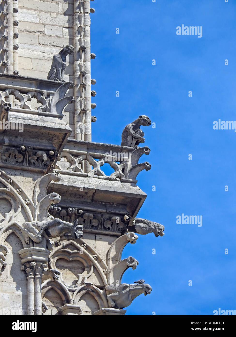 PARIS, FRANKREICH-23. AUGUST 2026: Gotische Architekturdetails an den Wänden der Kathedrale Notre Dame in Paris, Frankreich, spitzbogige Bögen, Rippengewölbe, Art Déco Stockfoto
