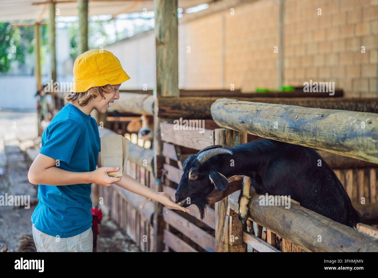 Ein Kind füttert eine Ziege mit der Hand und erlebt engen Kontakt mit Farmtieren. Empathie und Freundlichkeit durch den Kontakt mit Tieren. Stockfoto