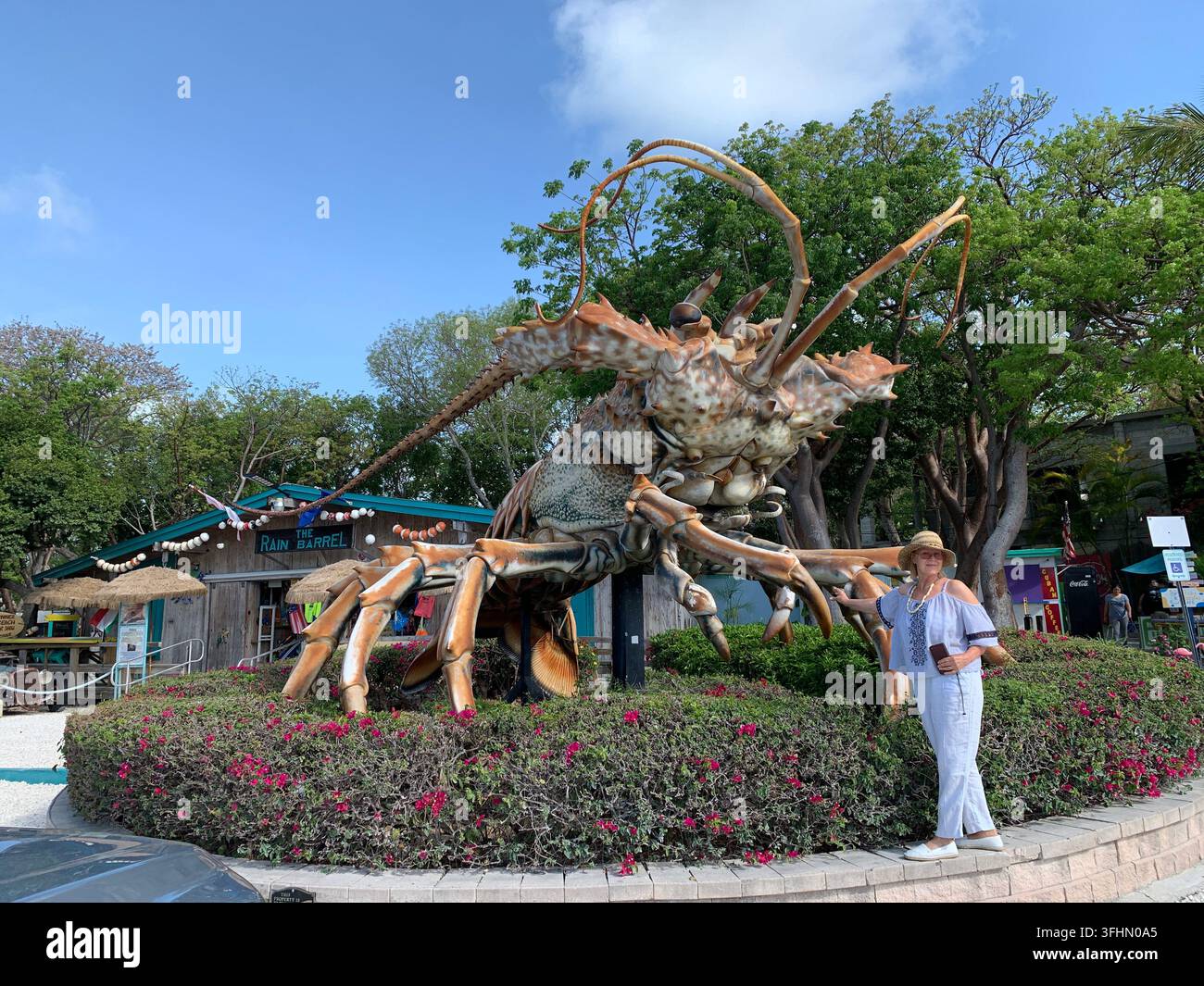 Islamorada, FL - 17. Mai 2025: Betsy the Lobster ist eine riesige Skulptur eines Stachellaubs im Vorraum des Rain Barrel Shop in den Florida Keys. Editori Stockfoto
