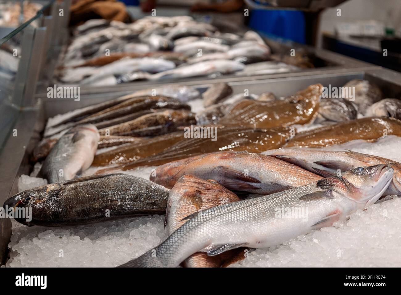 Bunte Auswahl an Meeresfrüchten auf dem Fischmarkt in Rhodos, Griechenland Stockfoto