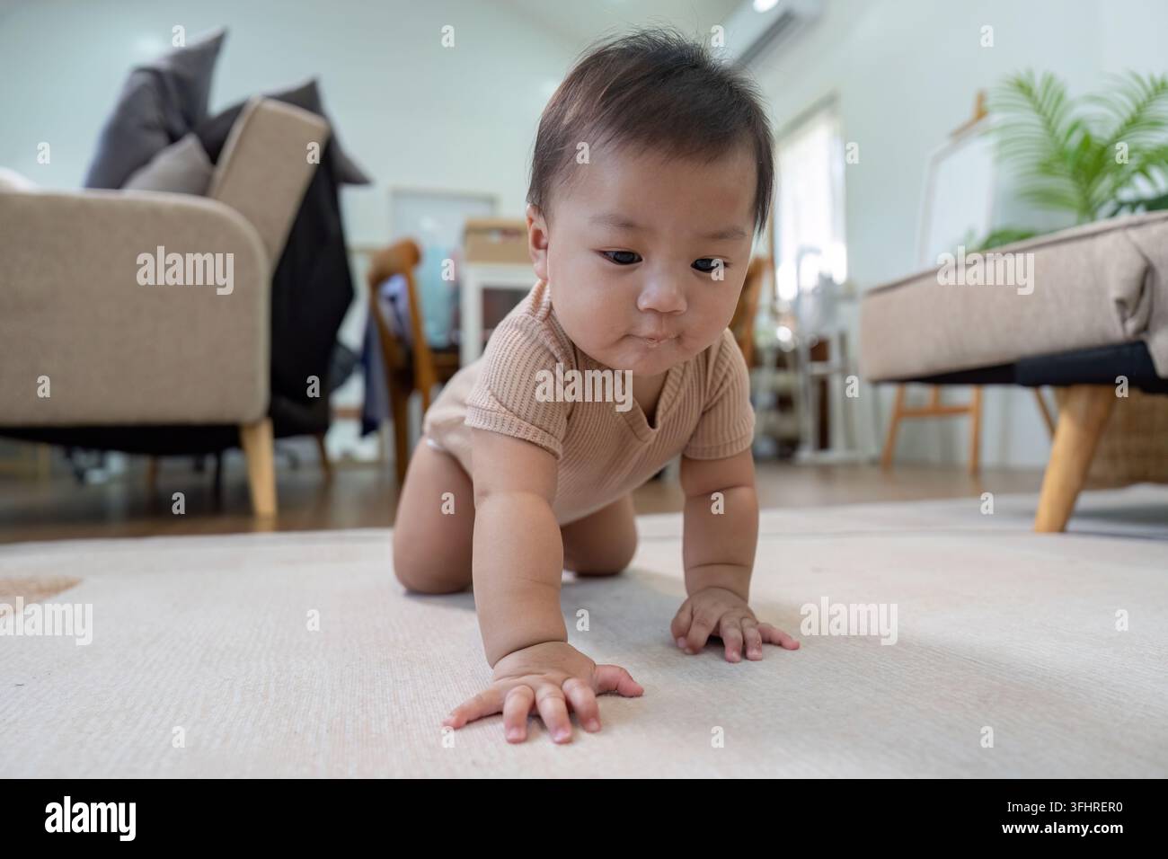 Neugieriges Baby krabbelt auf weichem Teppich im gemütlichen Wohnzimmer und erkundet seine Umgebung Stockfoto