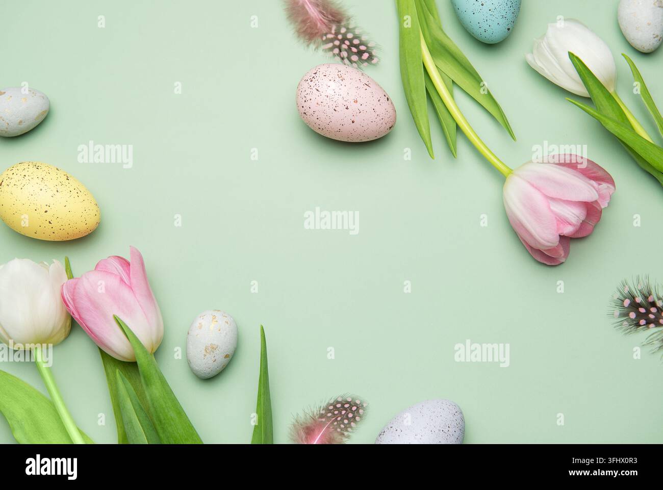 Festliche osterbordkomposition mit bunten Eiern und Tulpen auf pastellgrünem Hintergrund Stockfoto