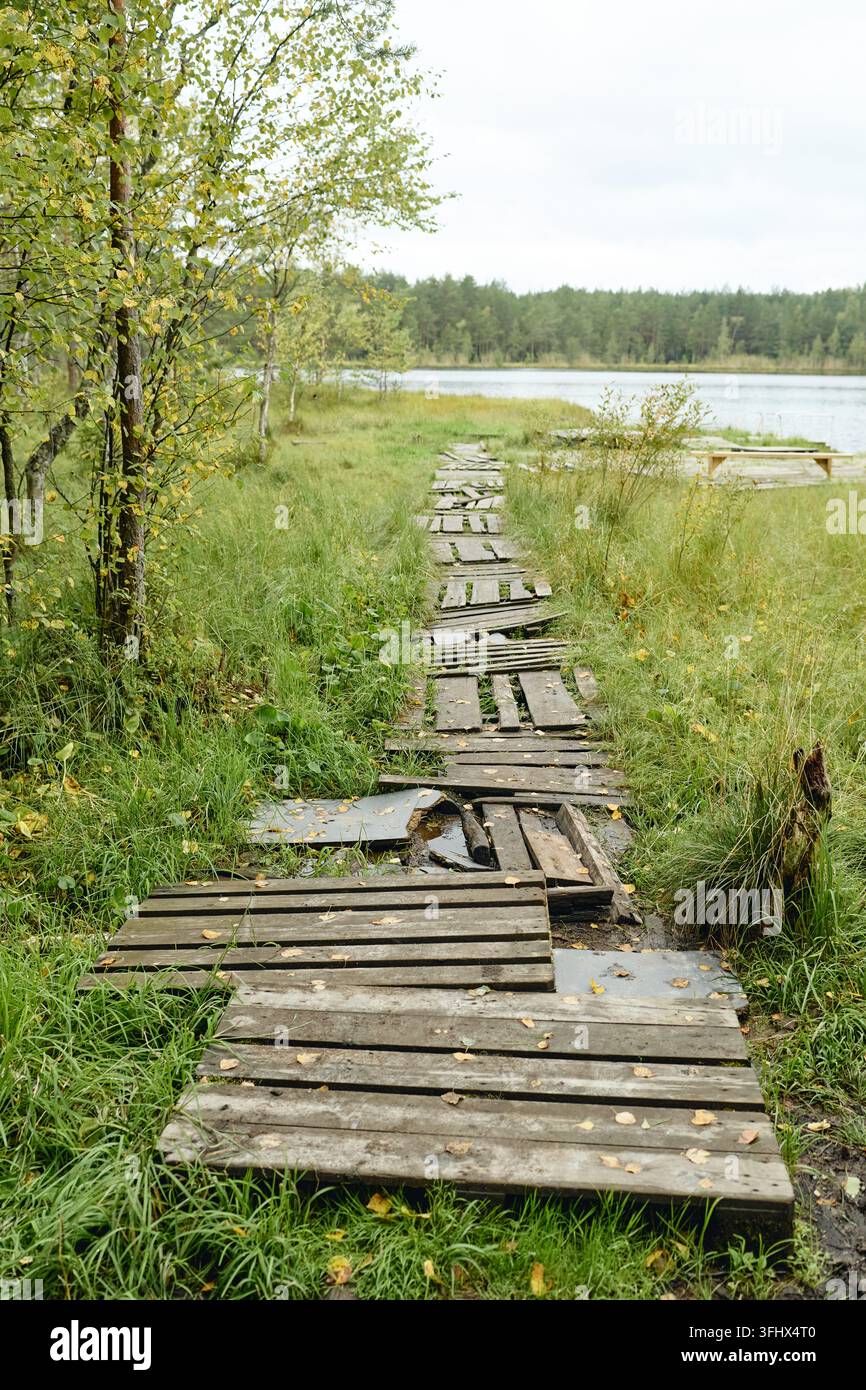 Holzplankenpfad führt durch das Marschland zum Waldsee Stockfoto