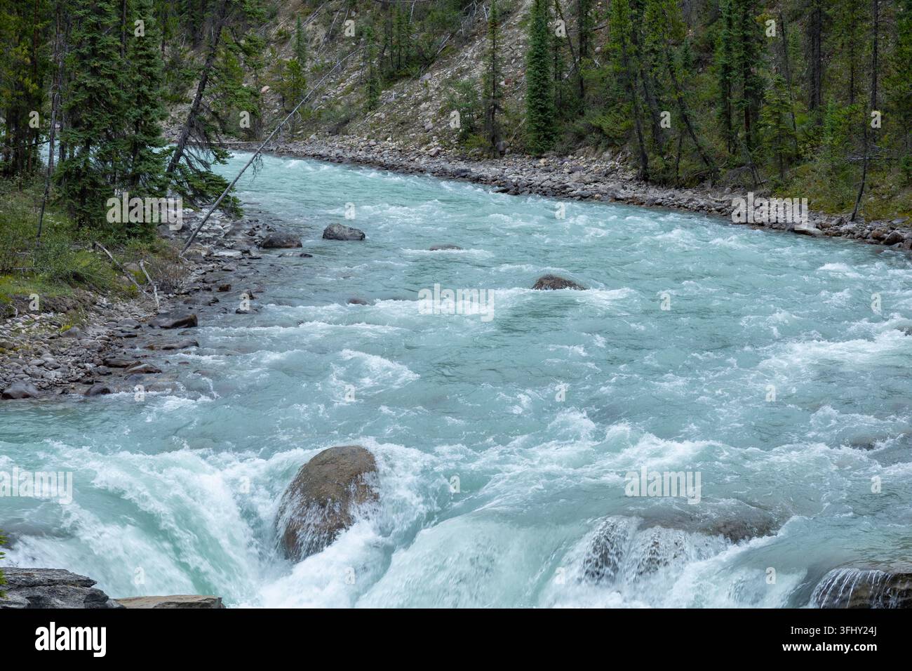 Mächtiger Wasserfall stürzt über geschichtete Felsen, umgeben von üppigem grünem Wald, Athabasca-Fälle, Jasper-Park, Alberta, Kanada Stockfoto