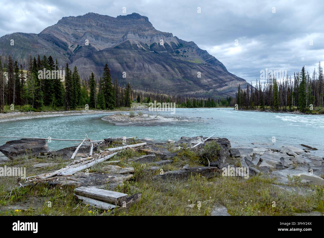 Mächtiger Wasserfall stürzt über geschichtete Felsen, umgeben von üppigem grünem Wald, Athabasca-Fälle, Jasper-Park, Alberta, Kanada Stockfoto