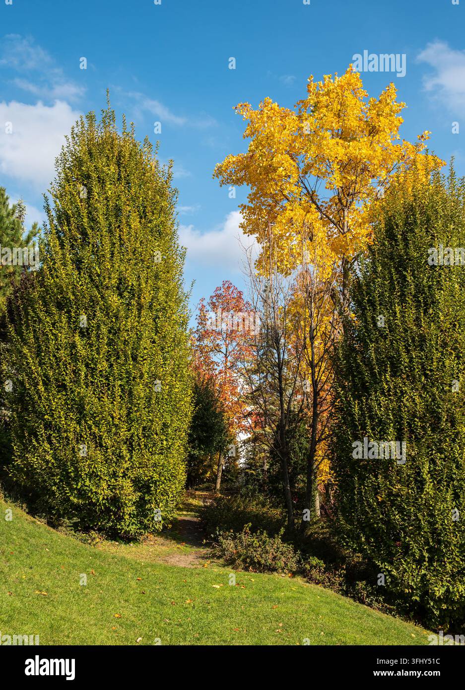 Moderne Stadtlandschaft des öffentlichen Gartens Palas Iasi in Rumänien Stockfoto