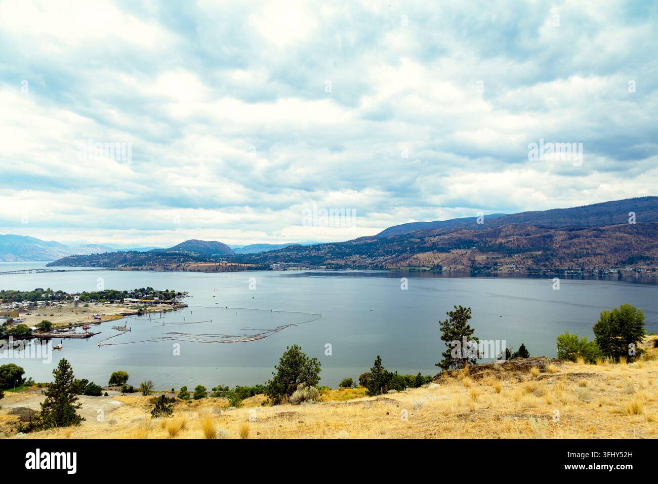 Weitläufiger Blick auf einen trockenen, grasbewachsenen Hügel, der mit Kiefern übersät ist, unter einem bewölkten Himmel, Knox Mountain Park, Kelowna, BC V1Y 9X3, Kanada Stockfoto