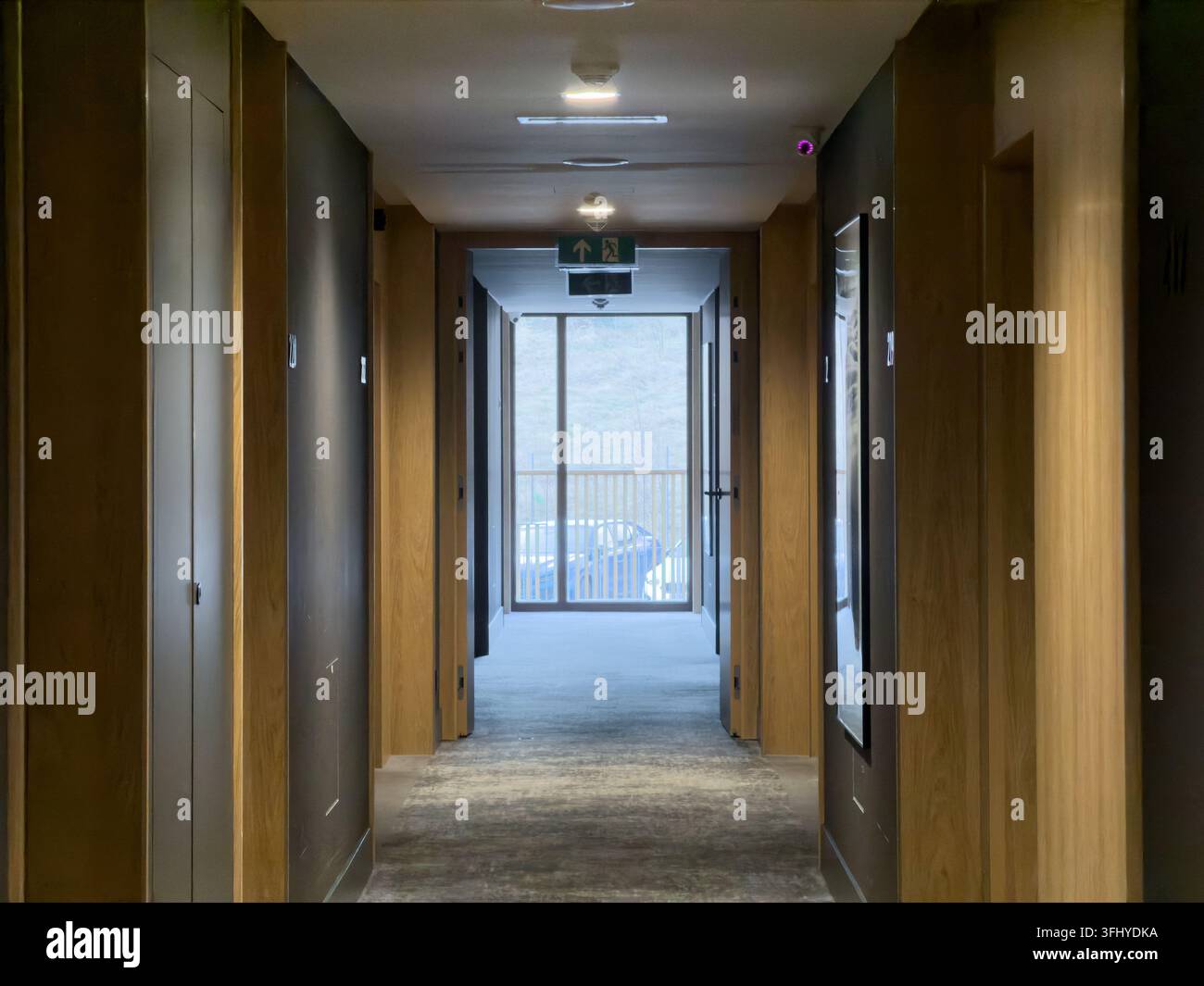 Minimalistischer Flur im Innenbereich mit strukturiertem Teppichboden und eleganten Wandverkleidungen, der Besucher zu einer hellen Aussicht nach draußen führt, perfekt für die Darstellung von Luxus Stockfoto