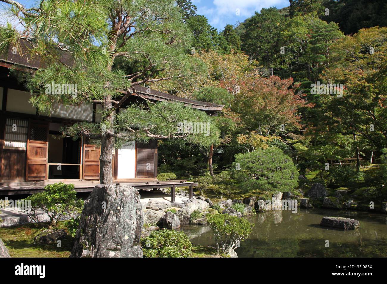 Traditionelles Holzgebäude neben einem Teich in einem japanischen Garten in Kyoto, Japan, mit Kiefern und Herbstlaub. Stockfoto