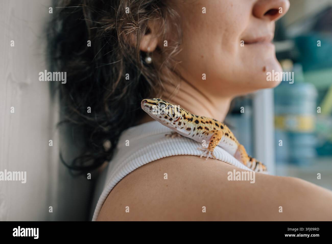 Ein niedlicher Leoparden-Gecko sitzt auf der Schulter einer Frau Stockfoto
