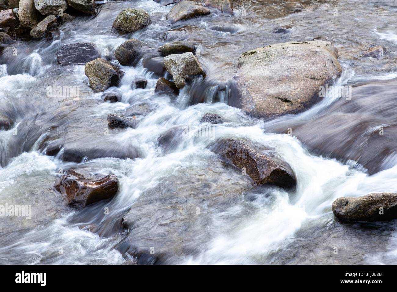 Schnell fließendes Wasser stürzt über schroffe Steine in einem malerischen Flussbett und zeigt rohe Wasserenergie und kühle Flüssigkeit, um die Reinheit von zu repräsentieren Stockfoto