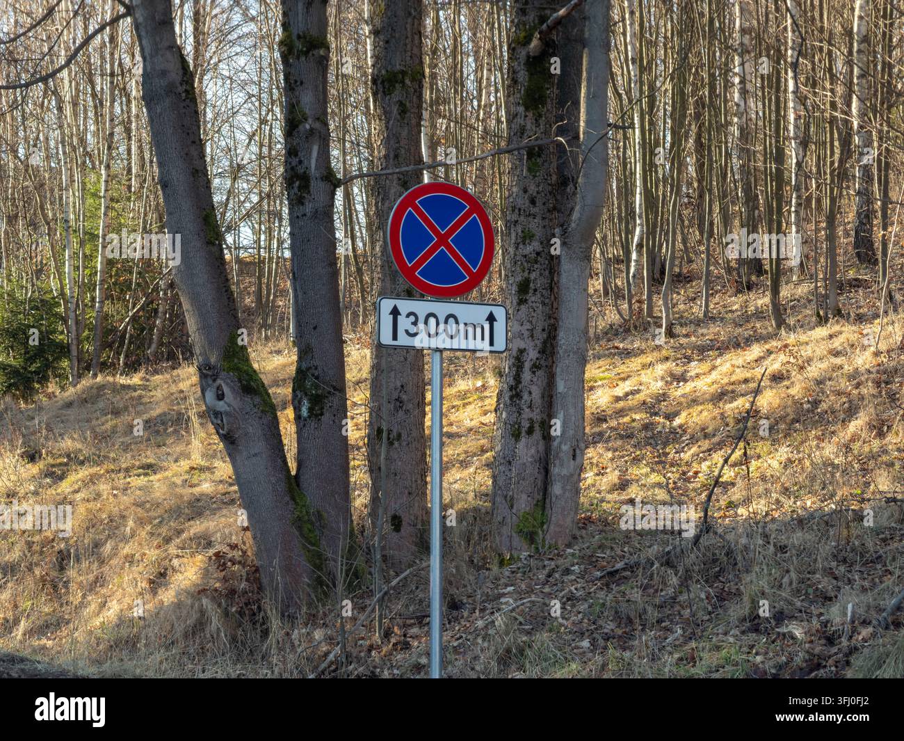 Ein offizielles Parkverbotsschild, das an einem Metallpfahl montiert ist, markiert den Waldrand und vermittelt klare Verkehrsregeln und Autobahnsicherheitsvorschriften für Autofahrer Stockfoto