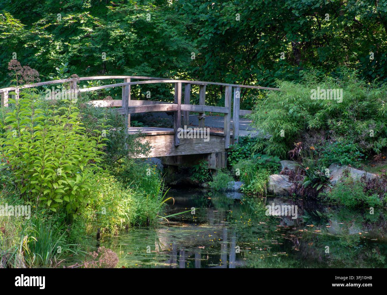 Eine hölzerne Fußgängerbrücke über einen Bach im Brookside Gardens Stockfoto
