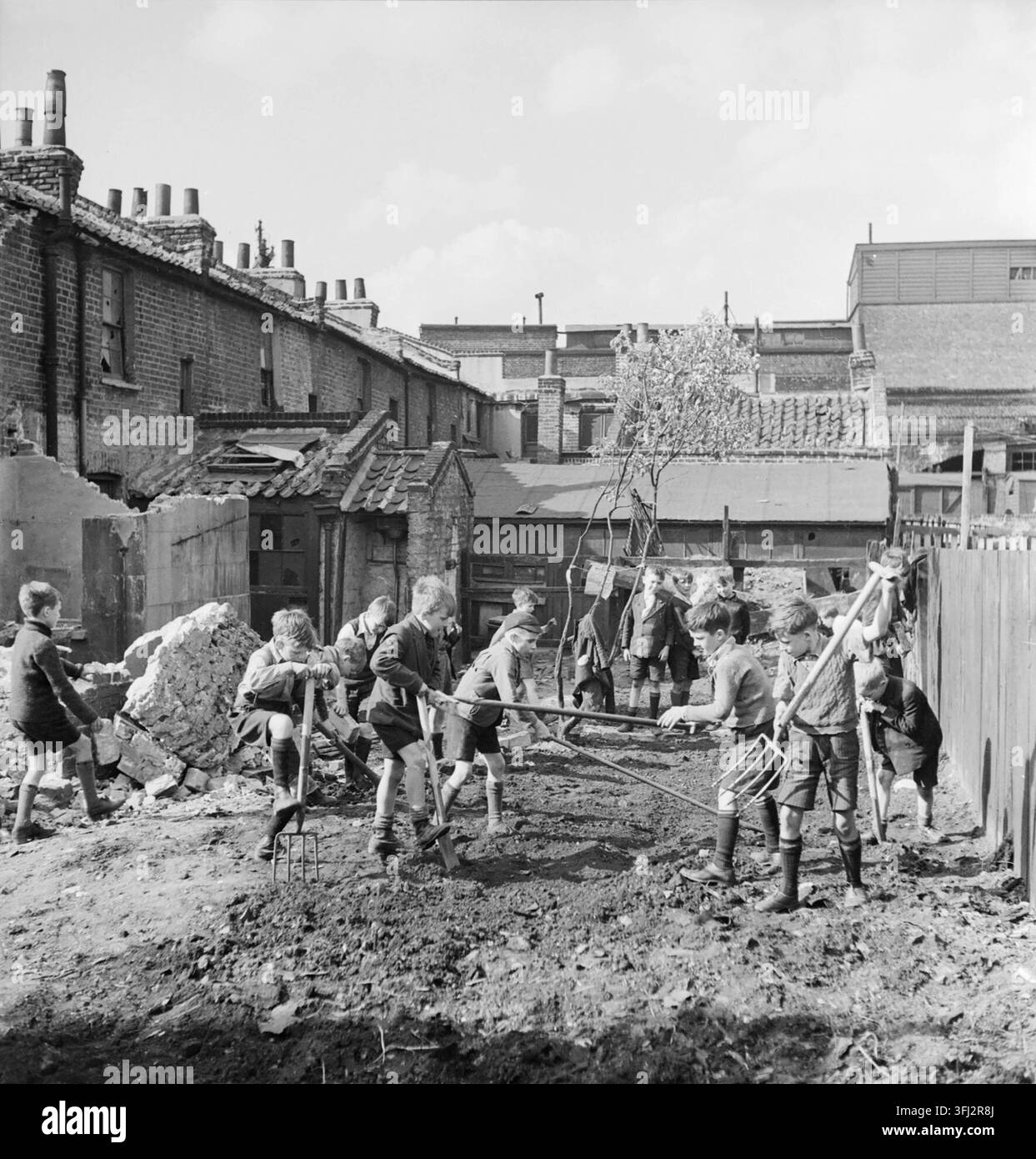 Eine Gruppe von Jungen set Erstellen einer Zuteilung auf einer Bombe Website in London während 1942 zu arbeiten. Eine Gruppe von Jungen mit Gabeln und Spaten zu arbeiten inmitten der Trümmer einer Bombe im East End von London. Sie schaffen eine Zuteilung auf diesem kleinen Stück Brachland, wo ein Haus stand. Hinter dem Rücken der anderen Häuser gesehen werden kann. Stockfoto