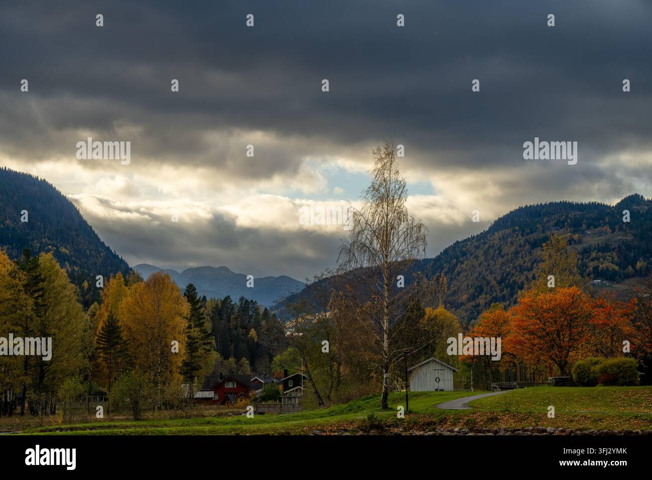 Flüchtiges Herbstlicht bewegt sich über Orangenbäume und ländliche Häuser zwischen dunklen Berghängen in Telemark, während schwere Wolken über ihnen aufbrechen, für Norwegisch Stockfoto