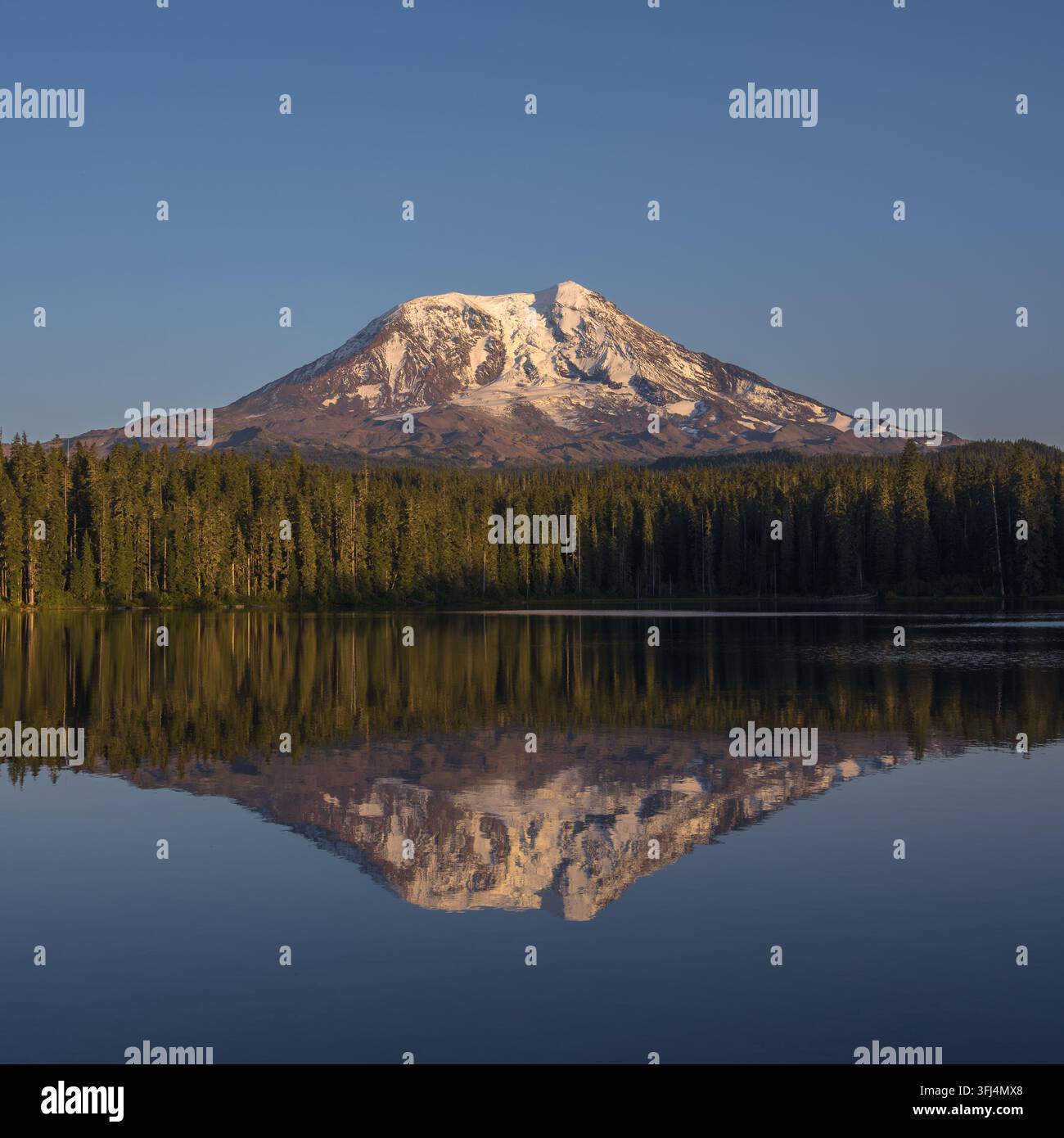 Mount Adams spiegelt sich im ruhigen Wasser des Takhlakh Lake im Kaskadengebirge, Bundesstaat Washington, USA. Stockfoto