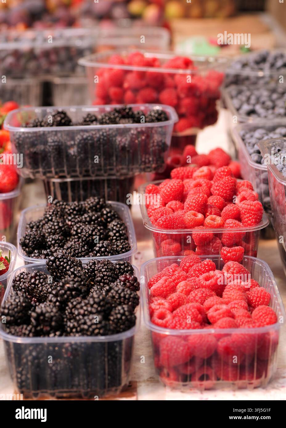 Verschiedene Behälter gefüllt mit reifen, biologischen Himbeeren und Brombeeren, die lebhafte Farben zeigen und Frische sowie gesunde Essensoptionen präsentieren Stockfoto