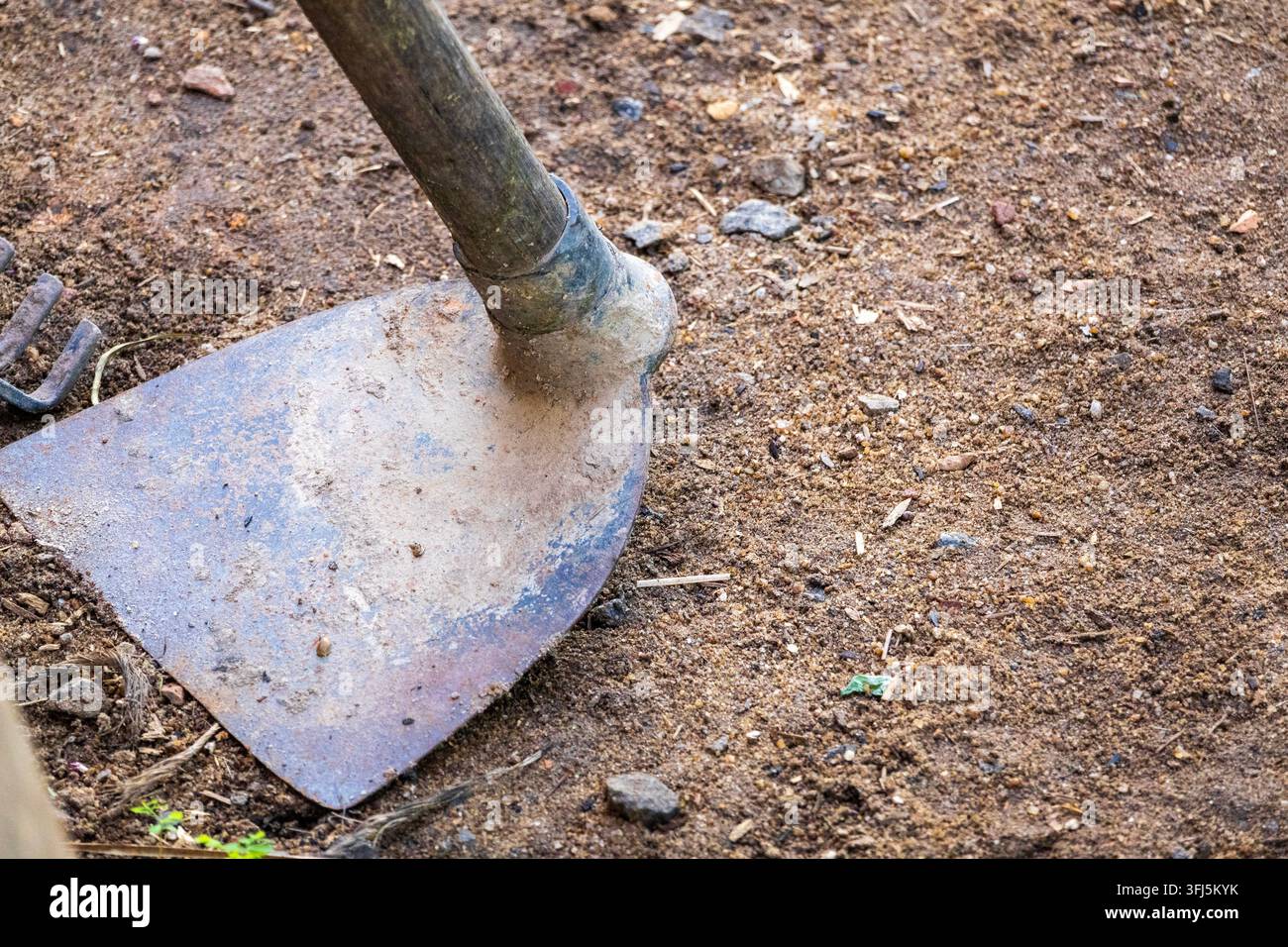 Nahaufnahme einer verwitterten Gartenhacke, die auf trockenem Boden in einer rustikalen Bauernhofumgebung ruht Stockfoto