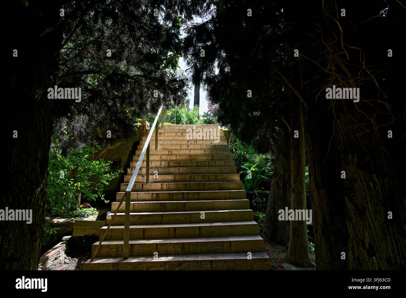 Steintreppe führt hinauf durch einen schattigen, überwucherten Waldweg, Jardin Nazari, Generalife Chico, Spanisch-Muslimischer Garten, Veleen de Benaudalla, Veleen Stockfoto