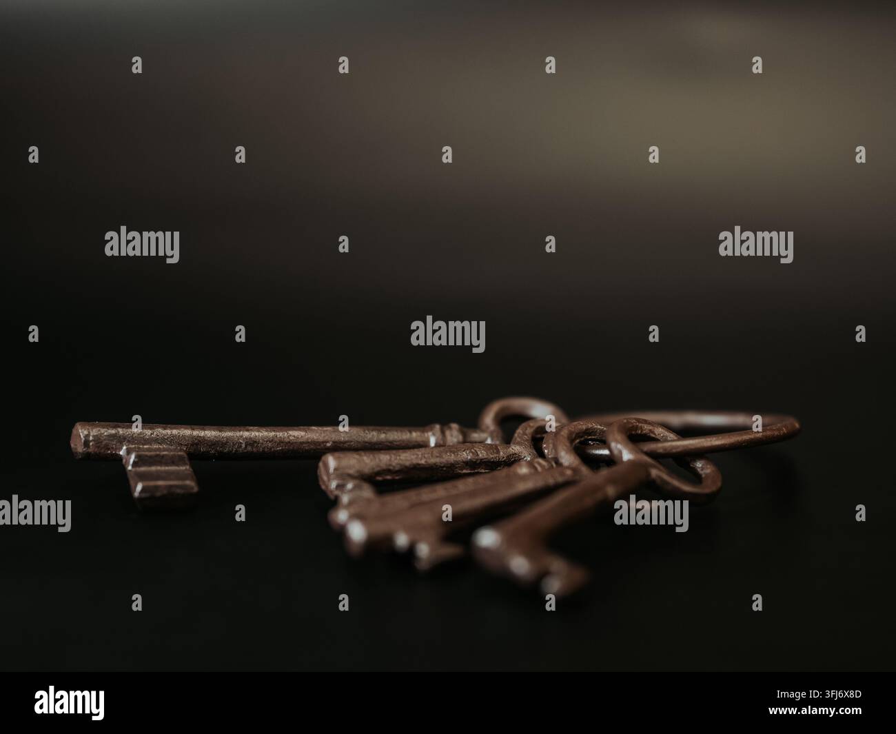 Sammlung altmodischer Metallschlüssel auf einer dunklen reflektierenden Oberfläche mit geringer Schärfentiefe und Kopierraum. Stockfoto