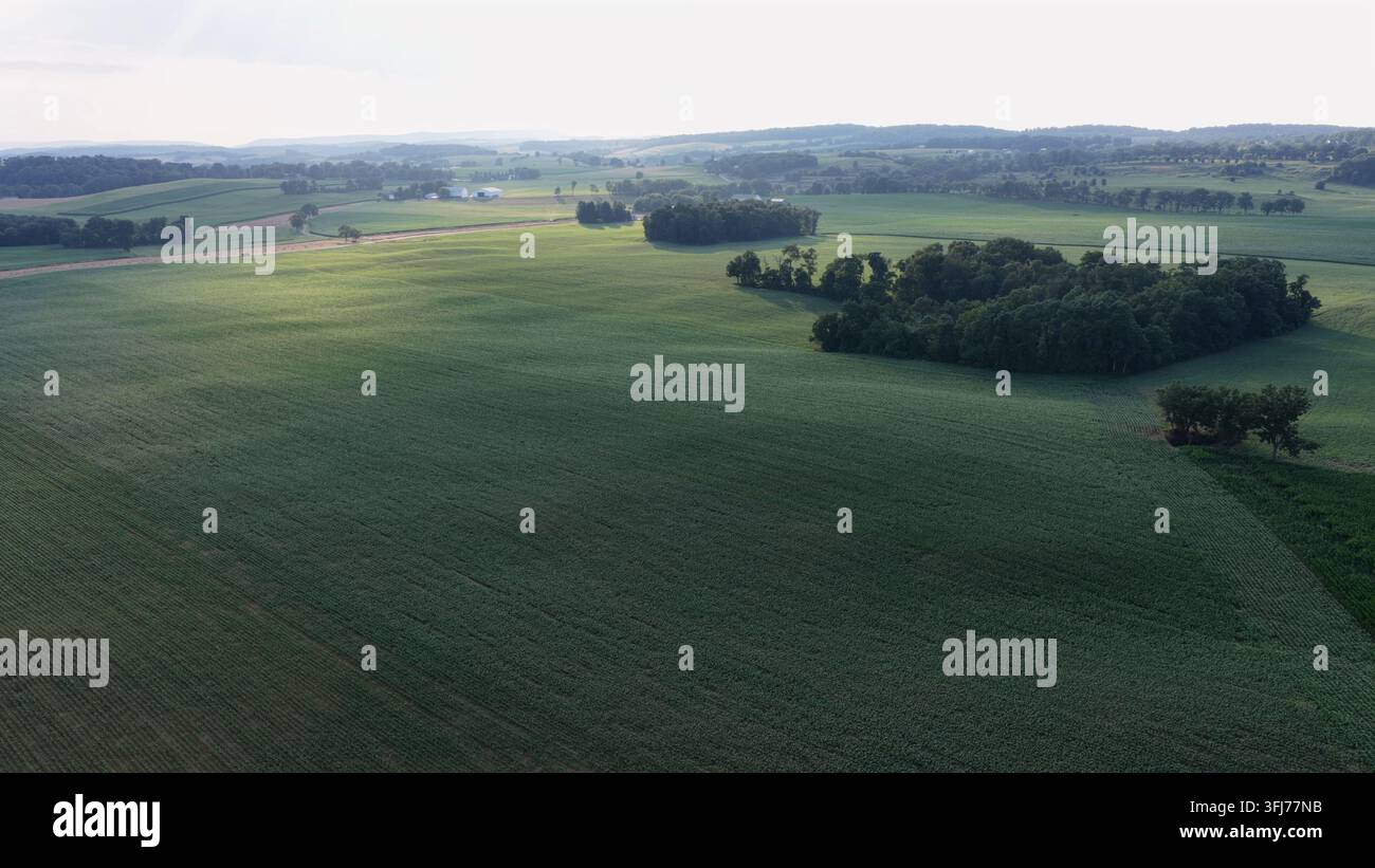 Welliges grünes Ackerland erstreckt sich bis zu nebligen bewaldeten Hügeln, verstreute Baumgruppen und Waldflächen durchbrechen die Feldfrüchte im sanften goldenen Morgenlicht Stockfoto
