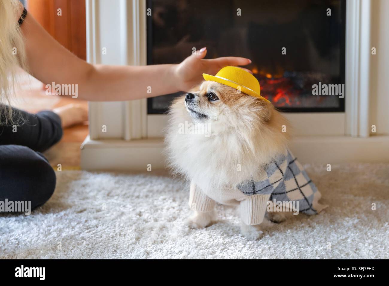 Süßer Pomeraner-Hund trägt ein stilvolles Outfit und einen gelben Hut und sitzt an einem Kamin zu Hause Stockfoto