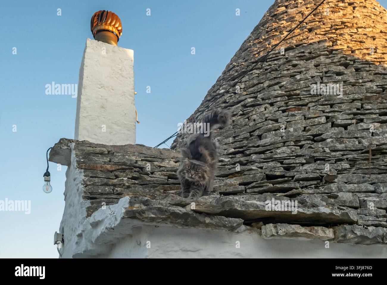 Traditionelle Trulli-Häuser und eine streunende Katze auf einer Straße in Alberobello, Italien Stockfoto