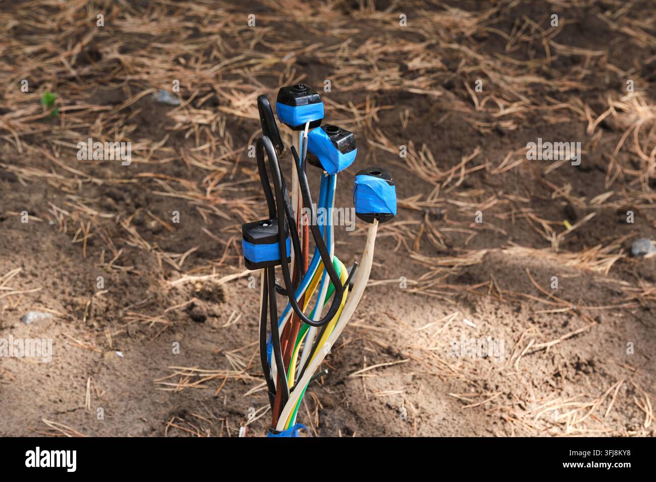 Gruppe bunter elektrischer Kabel mit isolierten Steckern, die im Freien aufrecht stehen Stockfoto