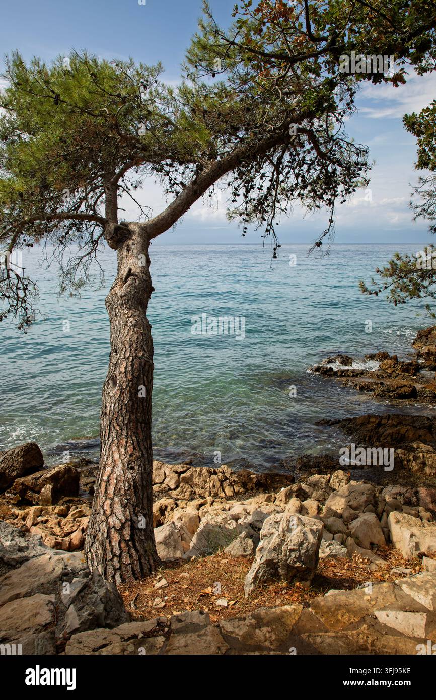 Blick von der Paradise Road, Wanderweg zwischen Malinska und Njivice auf der Insel Krk in Kroatien Stockfoto