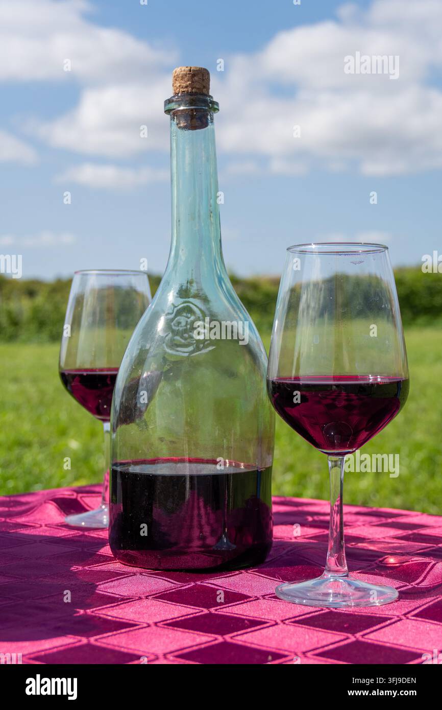 Rotweinflasche und Weingläser auf dem Tisch in der Weinberge vertikal Stockfoto