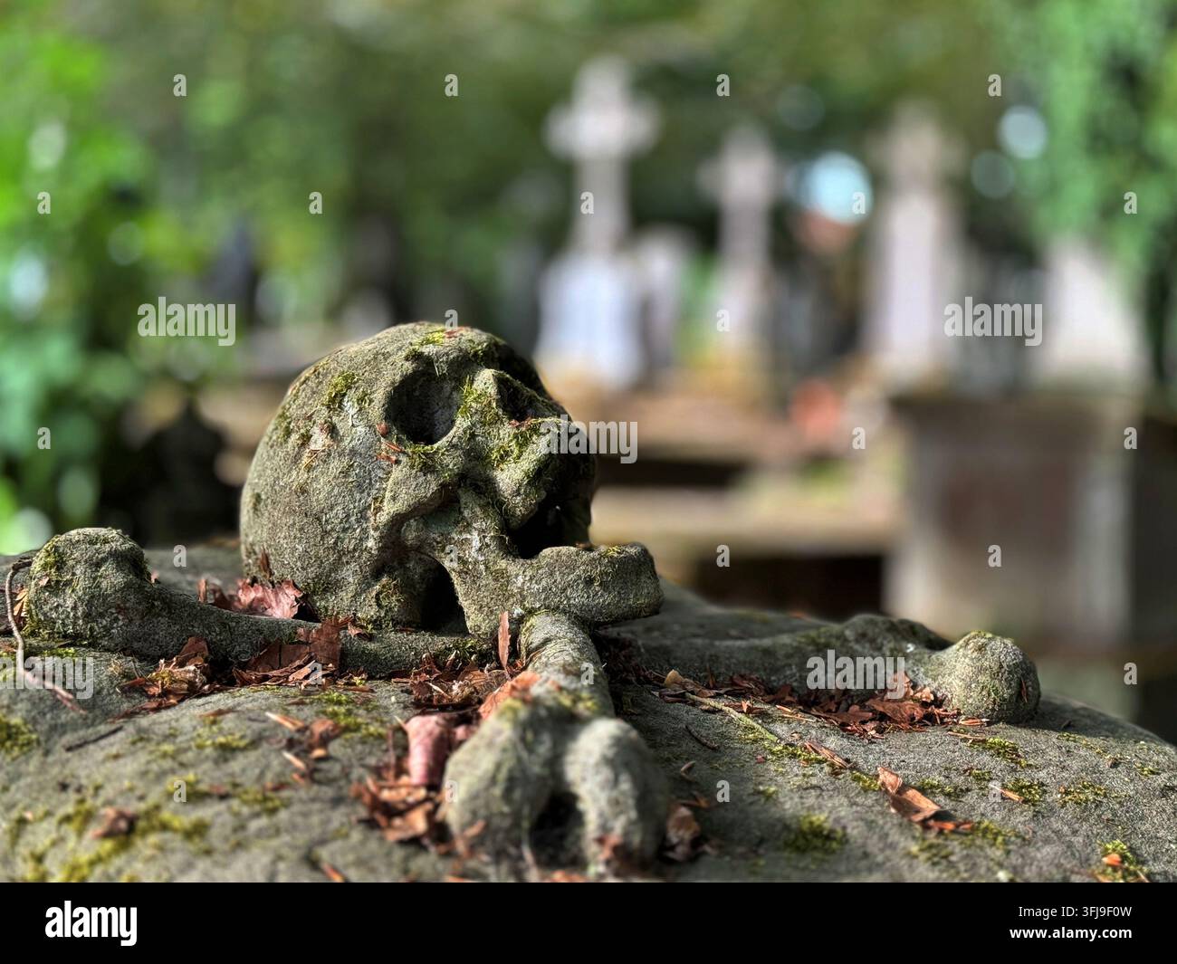 Verwitterte Steinskulptur eines Schädels mit gekreuzten Knochen, bedeckt mit Moos, auf einem historischen Grabmal auf dem Zentralfriedhof Bruges-Assebroek in Belgien Stockfoto