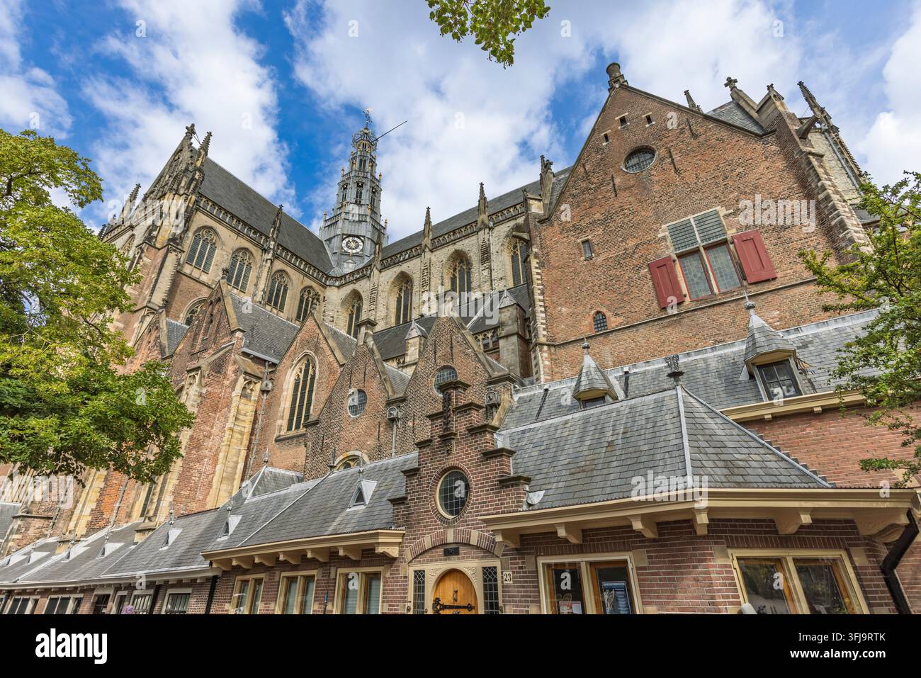 Haarlem, Niederlande – Low-Angle-Architekturaufnahme der De Grote oder St. Bavokerk, die gotische Fassade und Maurerarbeit unter einem blauen Himmel zeigt. Stockfoto