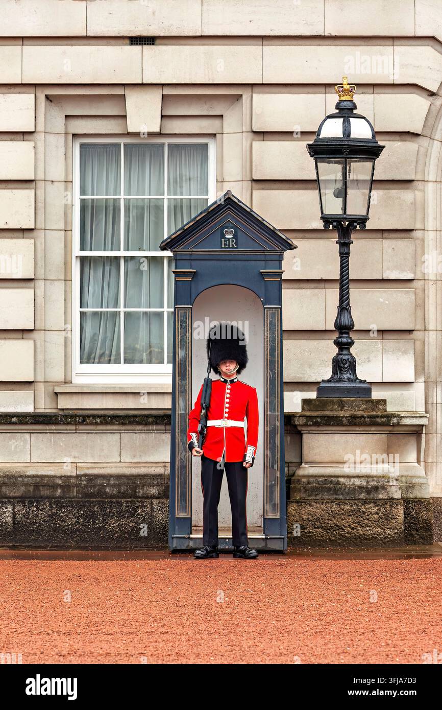 Ein britischer Gardist in einer traditionellen roten Uniform und einem hohen Bärenfellhut, der vor einem Wachhaus am Buckingham Palace in London steht Stockfoto